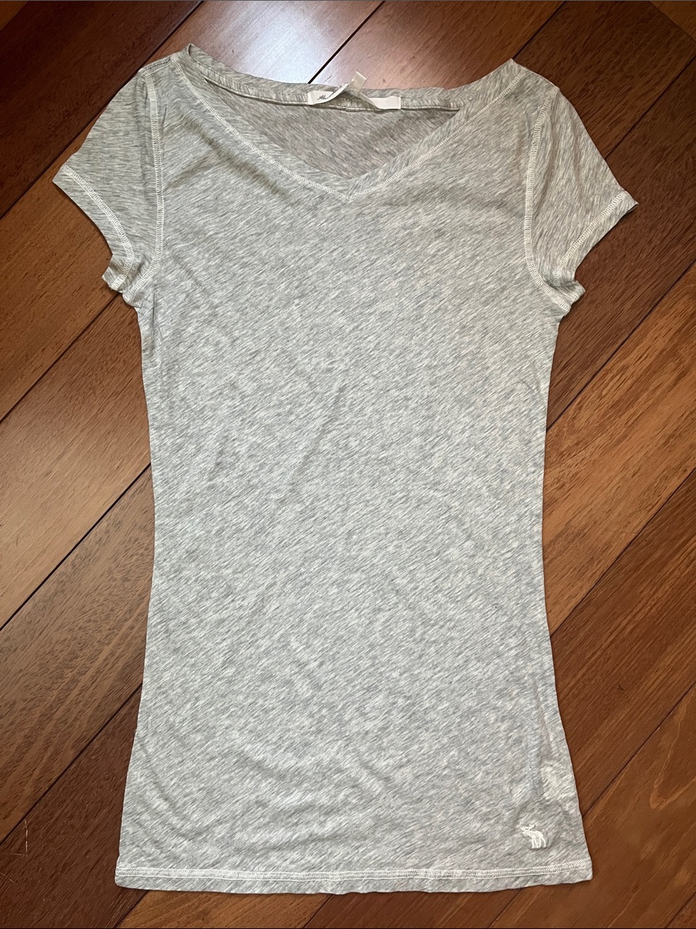 NWOT Y2K Abercrombie Moose Logo Sheer Layering Tee